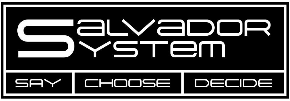 SalvadorSystem Kft.